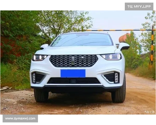 WEY VV3将于明年正式发布 定位小型SUV WEY VV3将于明年正式发布 定位小型SUV