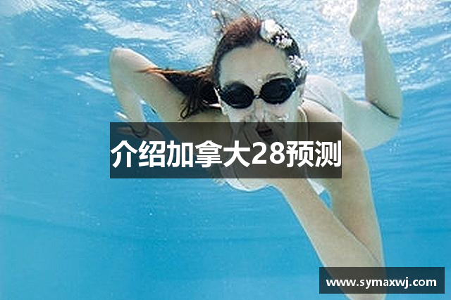 介绍加拿大28预测